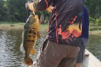 Leia mais sobre o artigo Pescar na Amazônia: A Experiência que Você Precisa Viver