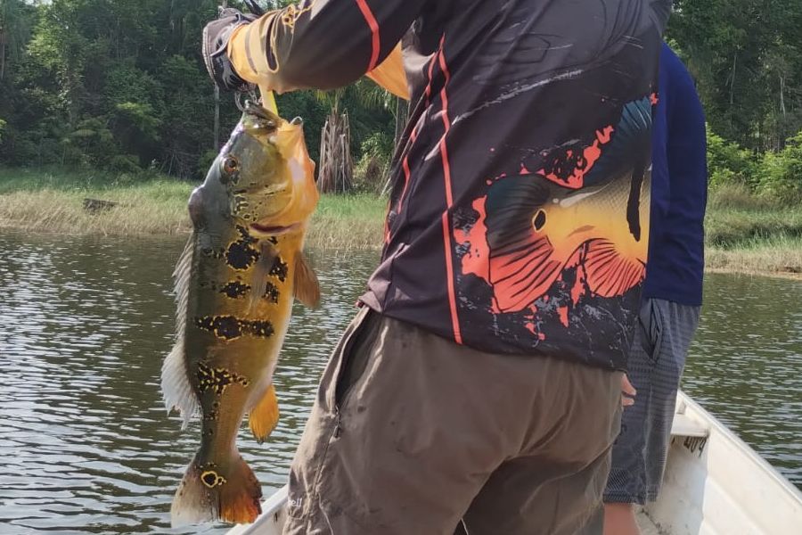 Leia mais sobre o artigo Pescar na Amazônia: A Experiência que Você Precisa Viver